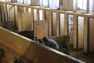 69cash_war_race_2016_152  